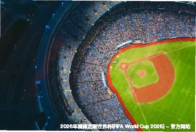 核心团队：专业与热爱